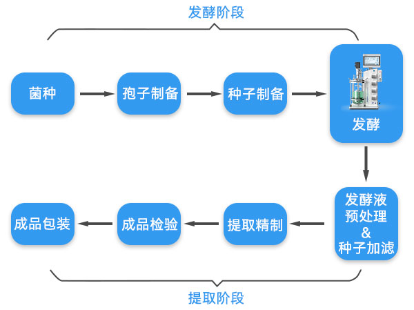 抗生素生產流程示意圖